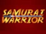 Samurai Warrior - A tekken style beat 'em up. Awesome